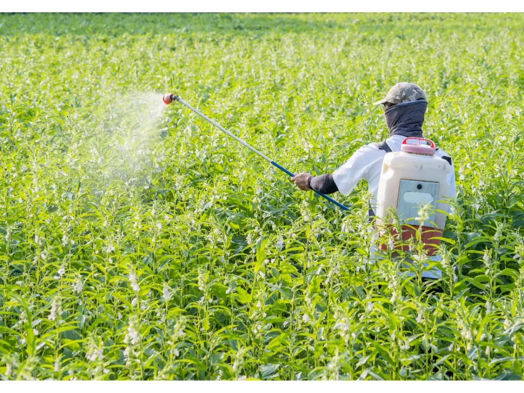 Colombia bans methyl bromide pesticide in nationwide move Image